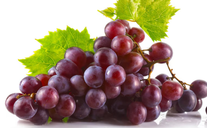 Screenshot 2025-04-28 002932